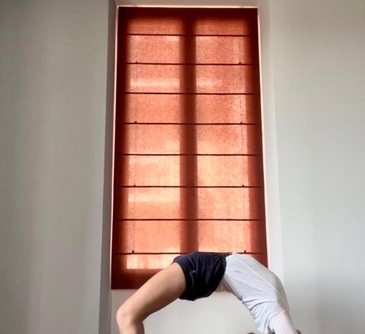 Retraite Yoga Iyengar